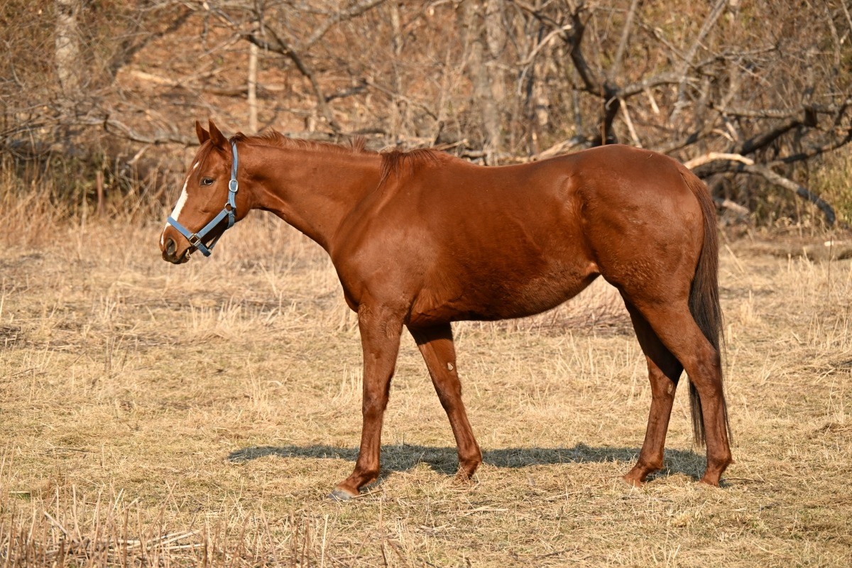 14d78ce726698b1fcbd61b01d3806645-1774149435.jpg 14d78ce726698b1fcbd61b01d3806645-1774149435.jpg